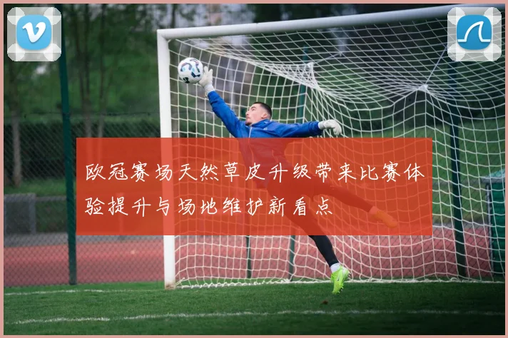 欧冠赛场天然草皮升级带来比赛体验提升与场地维护新看点