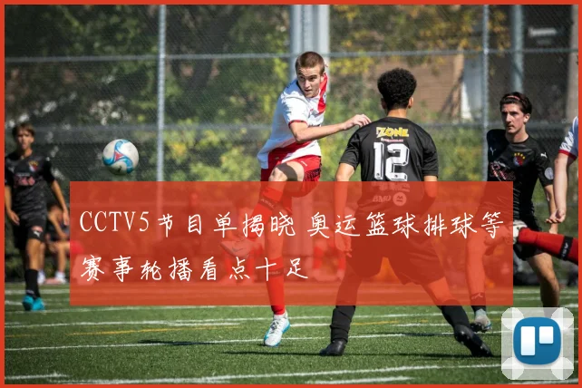 CCTV5节目单揭晓 奥运篮球排球等赛事轮播看点十足