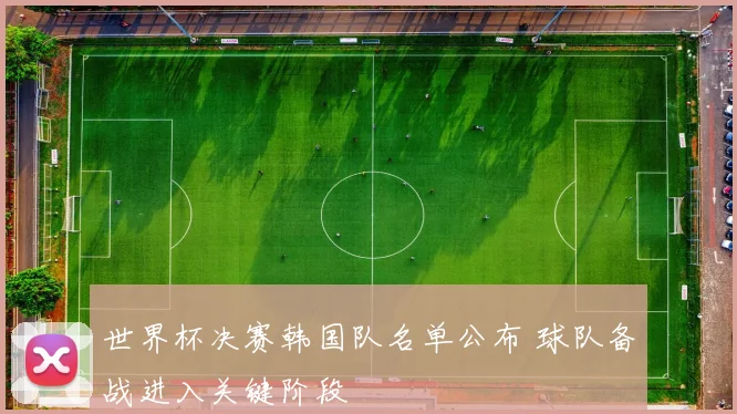 世界杯决赛韩国队名单公布 球队备战进入关键阶段