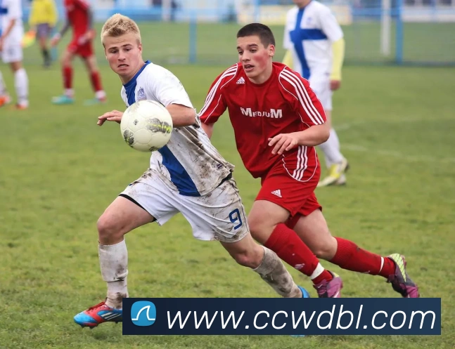 bsports体育登录平台生态图