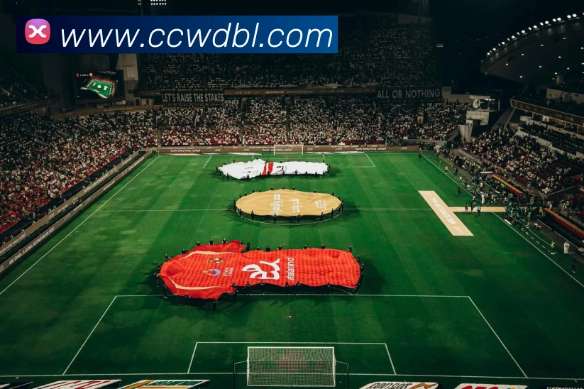 bsports体育登录全站App